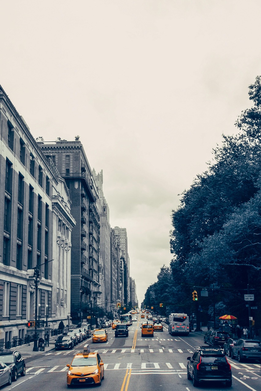 new york, centralpark, taxi, black-and-white, cityscape, new york, centralpark, centralpark, centralpark, centralpark, centralpark-3658530.jpg